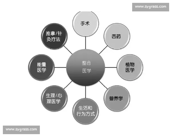 训练用球创新设计与科学训练应用全面解析实战效果评估与选购指南